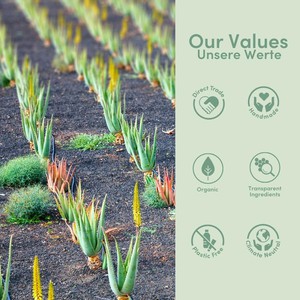 Aloe Vera Serum Pur, 99,6% mit fester Sonnencreme, bio und plastikfrei -  im Set from 4peoplewhocare