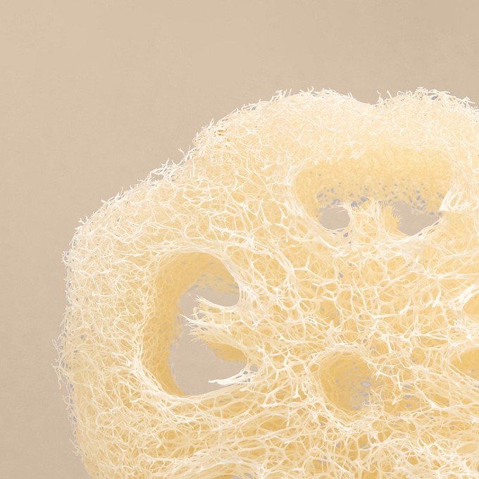 Luffa Duschschwamm - Reinigung & Peeling from 4peoplewhocare