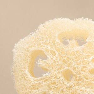 Luffa Duschschwamm - Reinigung & Peeling from 4peoplewhocare