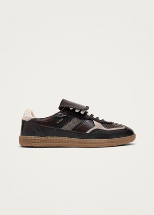 Tb.490 Club Brushed Dark Chocolate Leather Sneakers from Alohas