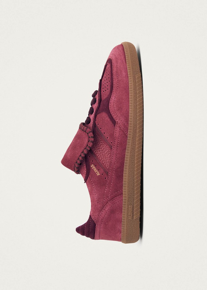 Tb.490 Club Suede Raspberry Leather Sneakers from Alohas