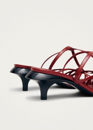 Soleia Red Leather Sandals from Alohas