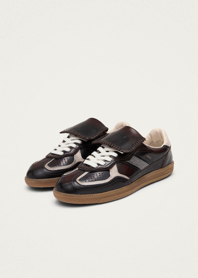 Tb.490 Club Brushed Dark Chocolate Leather Sneakers from Alohas