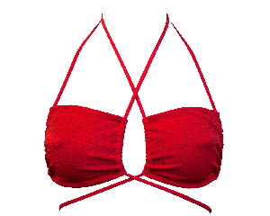 Low Versatile Bikini Top from Anekdot