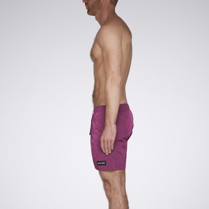 AS swimmer38 BO purple from arctic seas