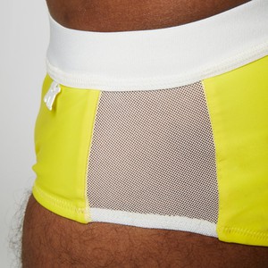 AS 02.22 dolphin DD plain06 yellow from arctic seas