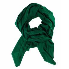 Large Green Cashmere Shawl with Frayed Edges from Asneh