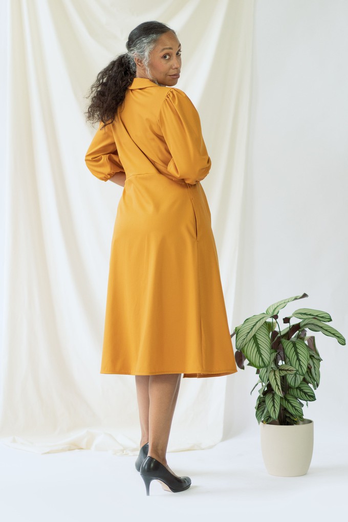 Isabel | Wrap Dress with balloon sleeves in Saffron from AYANI