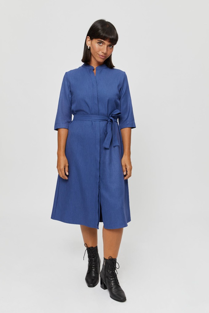 Lidia | Blusenkleid in Blau from AYANI