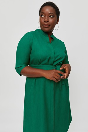 Lidia | Shirt Dress in Green from AYANI