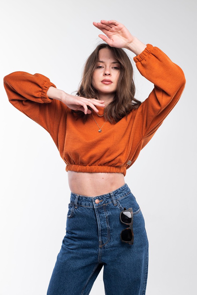 Fresh Crop Top Sweatshirt from Bee & Alpaca