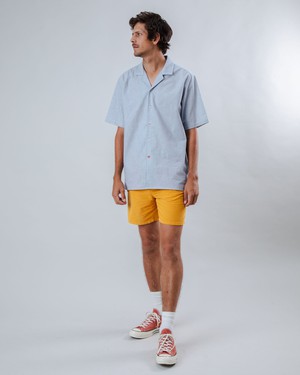 Pinstripes Aloha Shirt Blue from Brava Fabrics