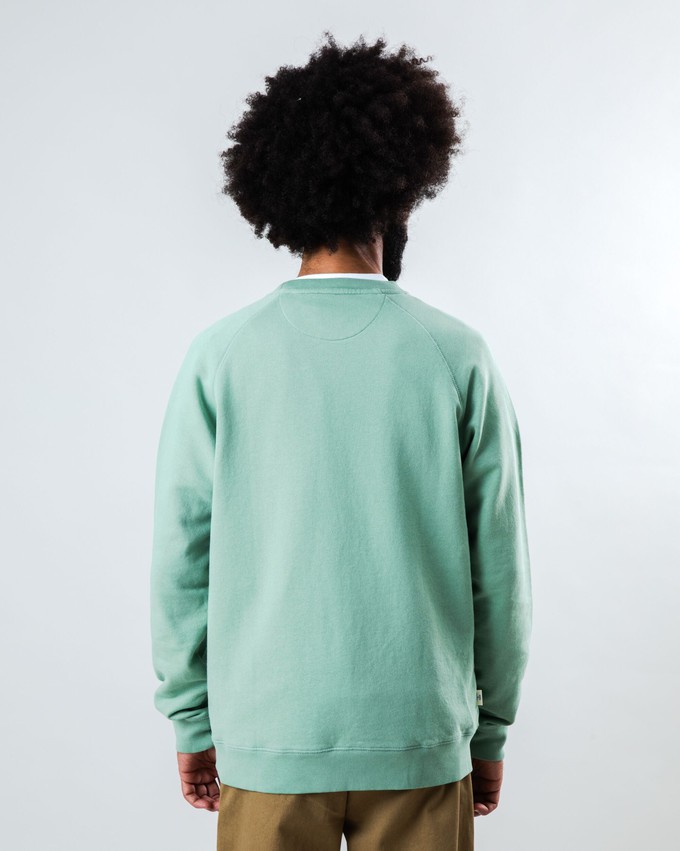 Asis Percales Tigris Sweatshirt Green from Brava Fabrics