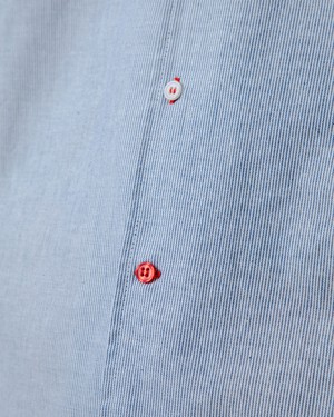 Pinstripes Aloha Shirt Blue from Brava Fabrics