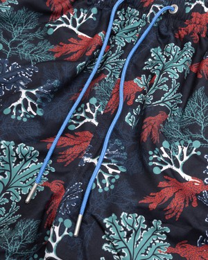 Okinawa Badehose from Brava Fabrics