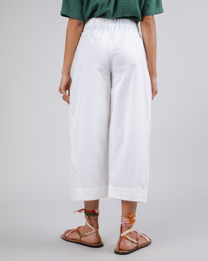 Picnic Oversize Hose White from Brava Fabrics