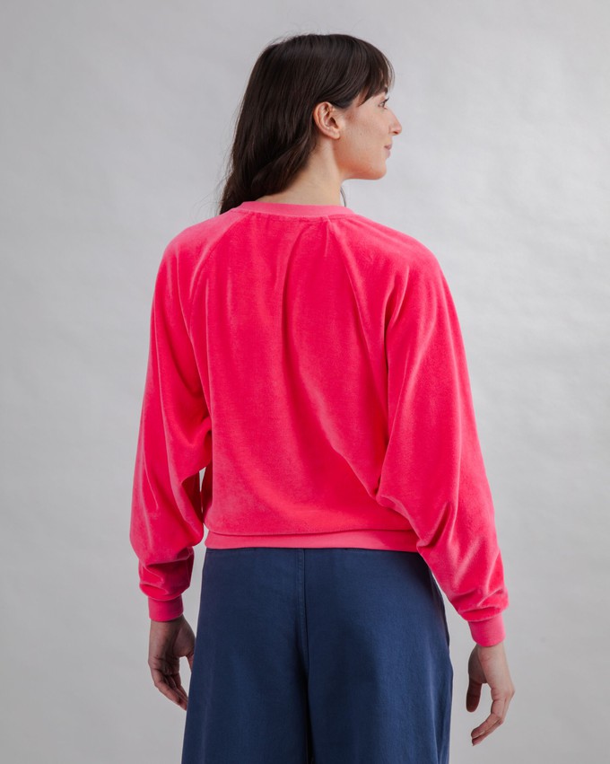 Raglan-Sweatshirt aus Samt in Rosa from Brava Fabrics