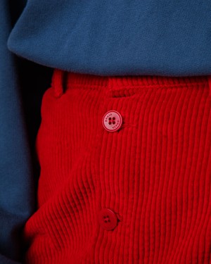 Cord Minirock Rot from Brava Fabrics