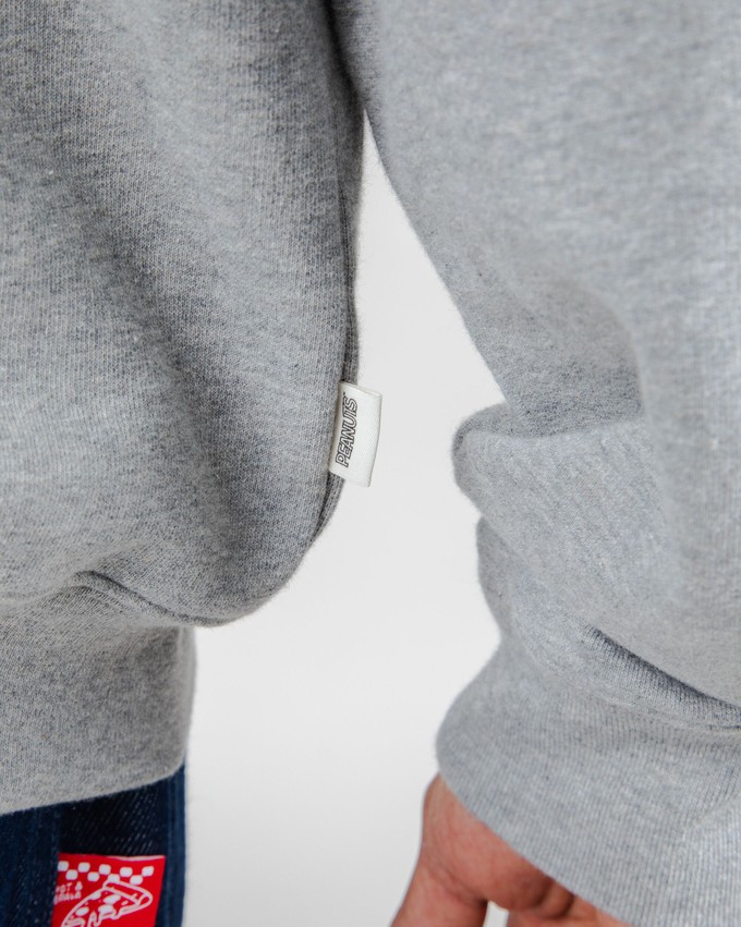 Peanuts Records Sweatshirt Grau from Brava Fabrics