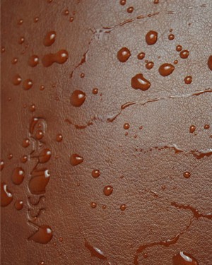 City Soft - Hazelnut from CANUSSA