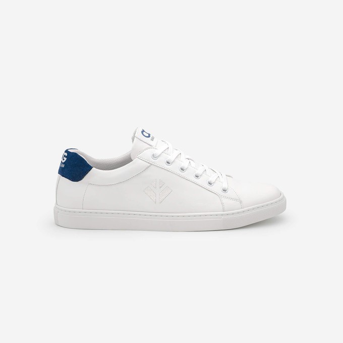 winton - blue white from COG