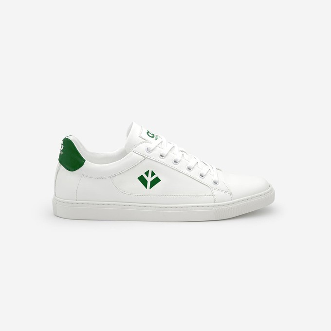 winton - white green from COG