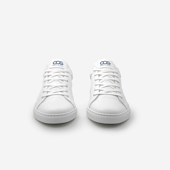 winton - blue white from COG