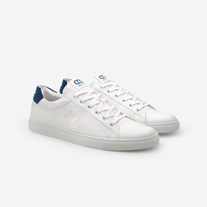 winton - blue white from COG