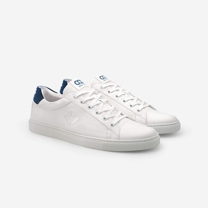winton - blue white from COG
