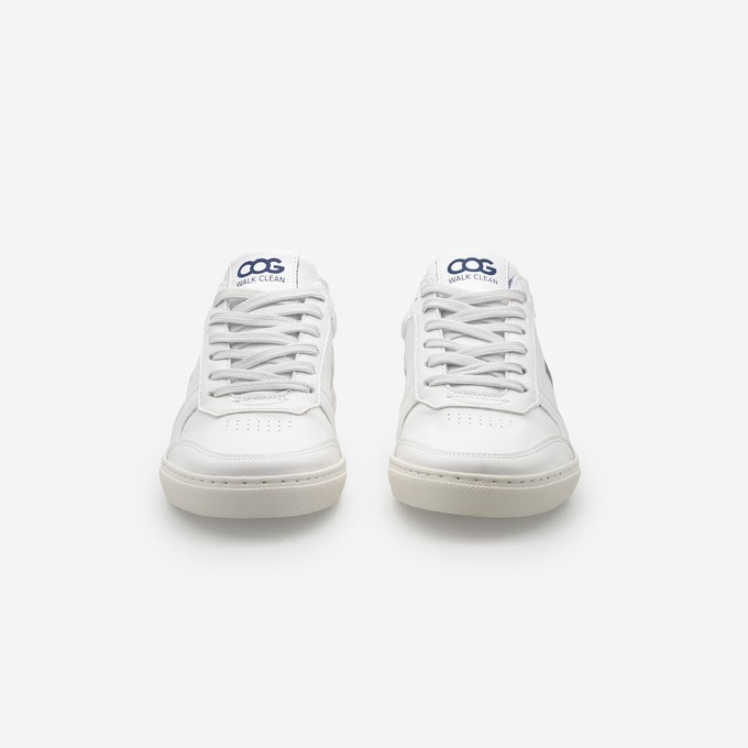 topsy - blue white from COG