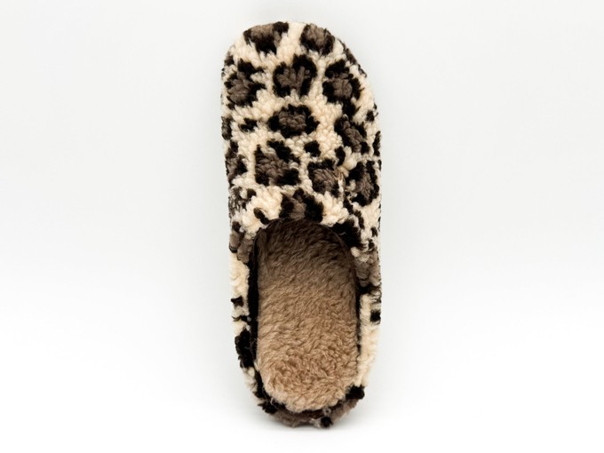 thies 1856 ® Rec Leo Teddy Slipper leo (W/X) from COILEX