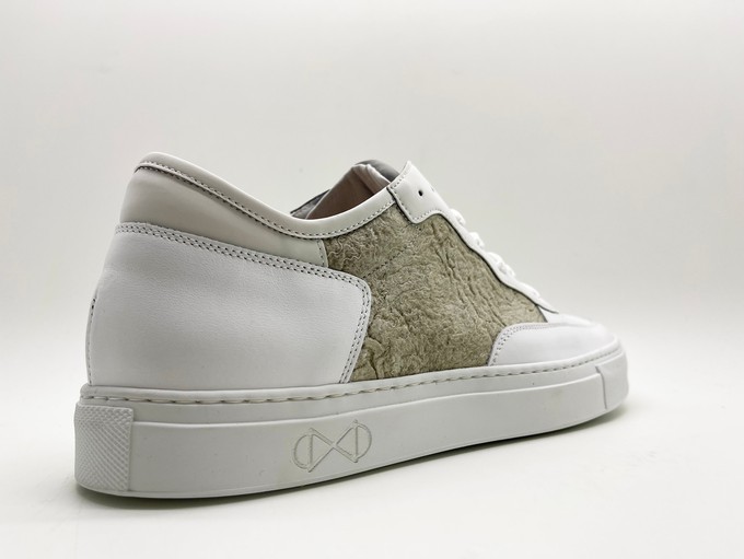 nat-2™ Preloved white avocado from COILEX