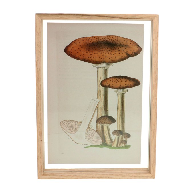 Fotolijst, eikenhout, 21 x 30 cm from Dille & Kamille