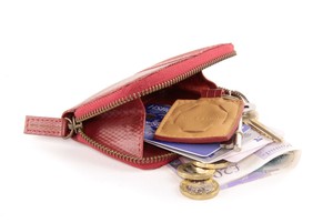 Fire & Hide Pocket / Bag Organiser from Elvis & Kresse