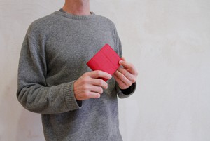 Billfold Wallet with Coin Pocket | Leather & Fire-hose from Elvis & Kresse