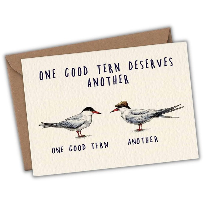 Greeting card tern "One good tern" from Fairy Positron