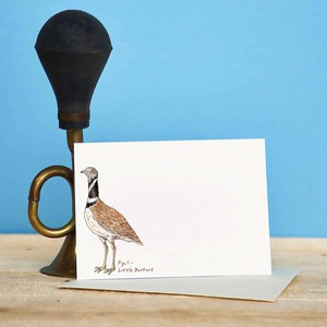 Set of 10 cards "Impeckably Fowl" from Fairy Positron