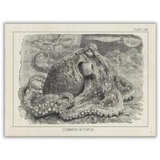Greeting card European eight arm from Fairy Positron