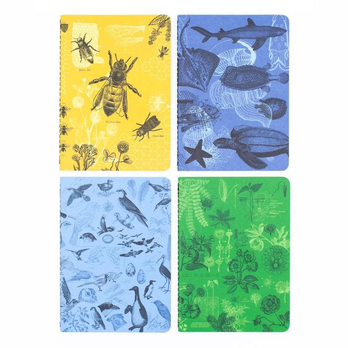 Set of pocket notebooks life science from Fairy Positron