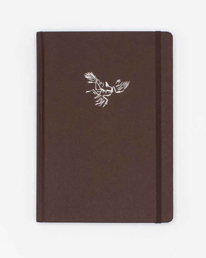 Notitieboekje paleontologie (A5/dotted lines) from Fairy Positron