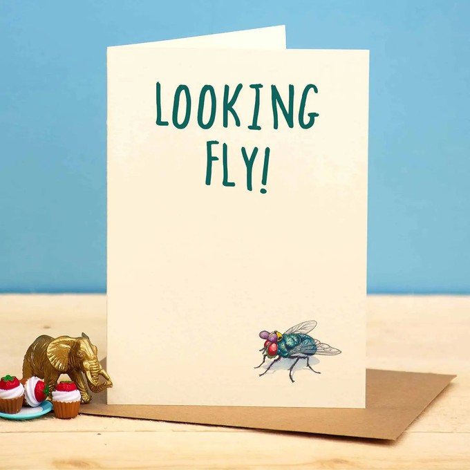 Greeting card fly "Looking fly" from Fairy Positron