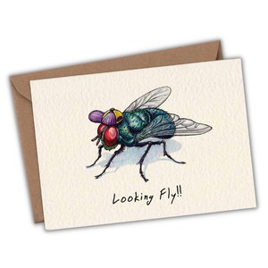 Greeting card fly "Looking fly" from Fairy Positron