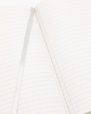 Notitieboekje paleontologie (A5/dotted lines) from Fairy Positron