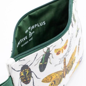 Pouch insects from Fairy Positron