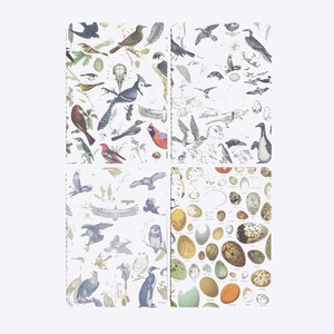 Set zaknotitieboekjes ornithologie from Fairy Positron