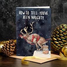 Christmas greeting card "How to tell you've been naughty" via Fairy Positron