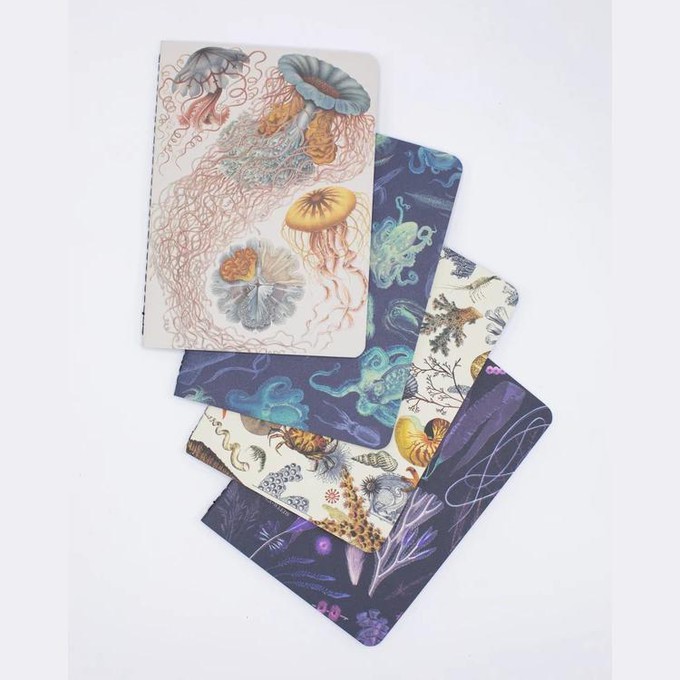 Ocean pocket notebook set from Fairy Positron