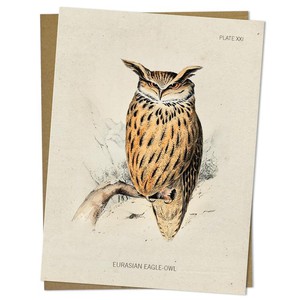 Greeting card eagle owl from Fairy Positron