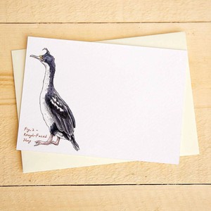Set of 10 cards "Impeckably Fowl" from Fairy Positron