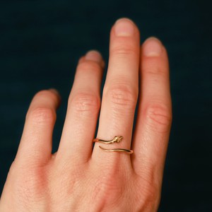 Bronzen ring slang (klein) from Fairy Positron